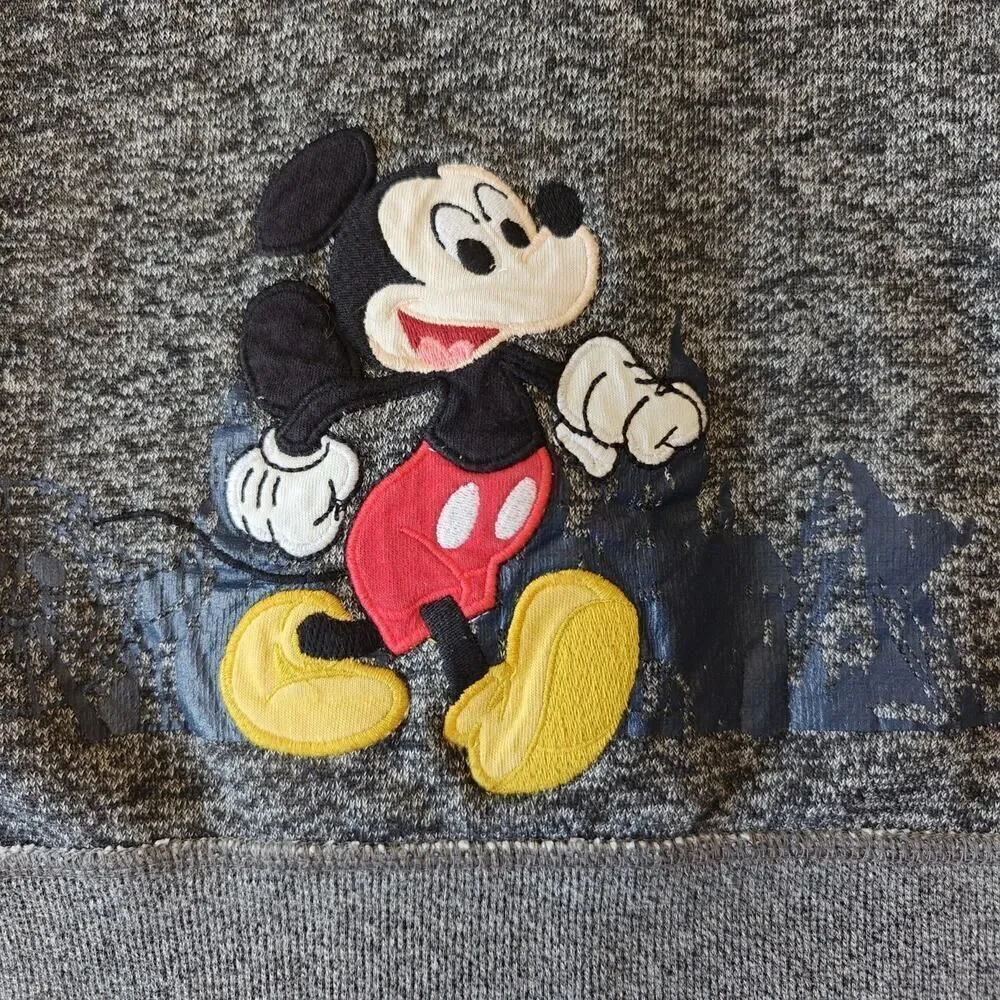 Kids Disney Parks sweatshirt hoodie sz XXS